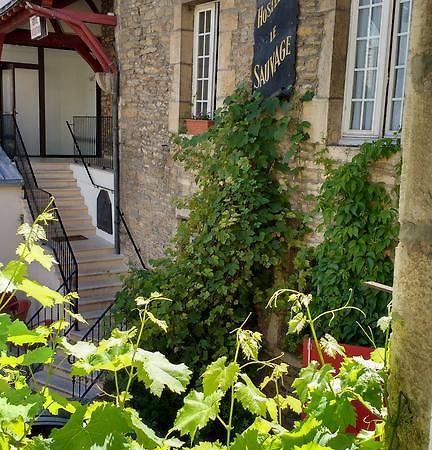 Hotel Le Sauvage Dijon Bagian luar foto